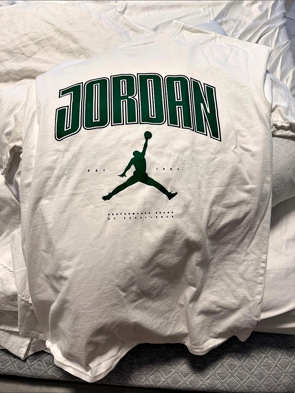 Jordan Core Arch Logo Graphic Tee White & Green